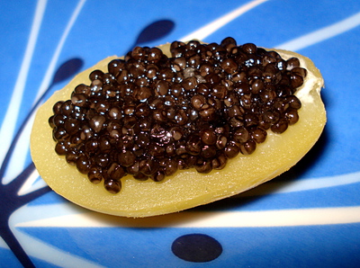 Canaps de Caviar