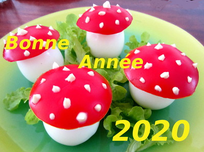 Excellente ANNEE Culinaire 2020 -- 01/01/20