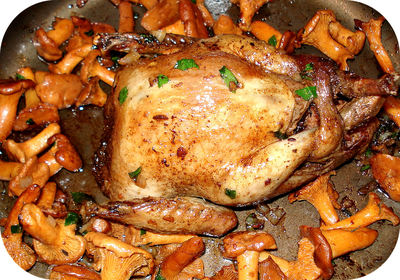 Pigeon aux Girolles