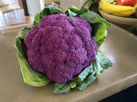 Chou-fleur violet frais entier posé sur un plan de travail de cuisine